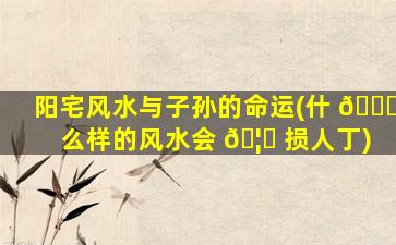 阳宅风水与子孙的命运(什 💐 么样的风水会 🦅 损人丁)
